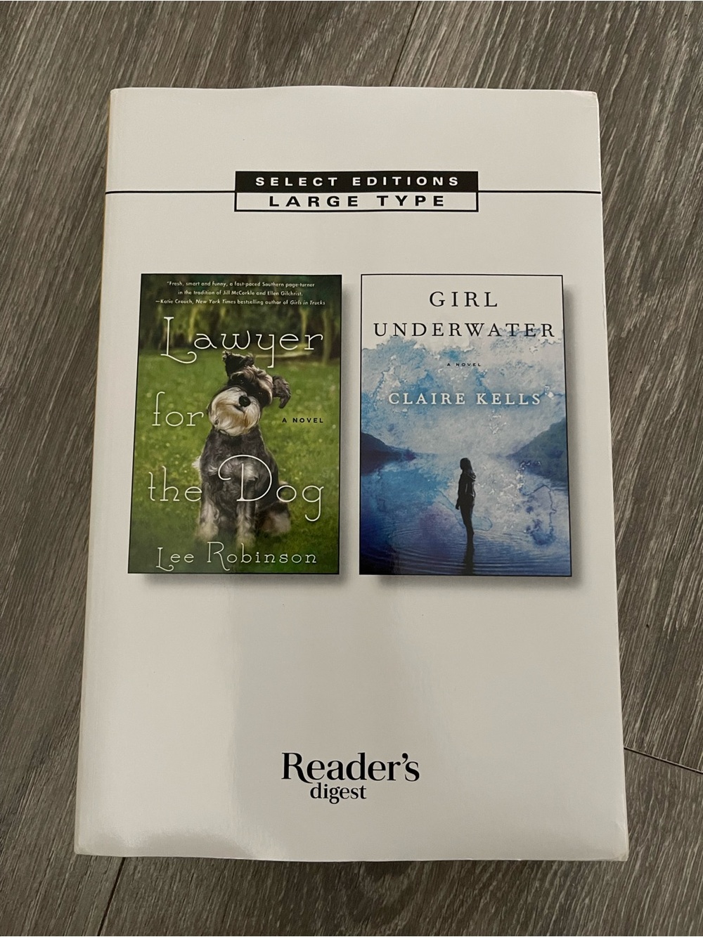 New Lawyer for the Dog and Girl Underwater Book